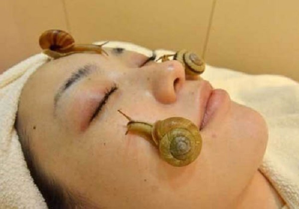 Manfaat Lendir Siput (Bekicot) untuk Kecantikan